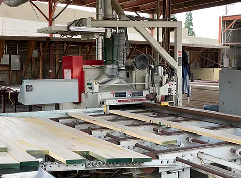 Boards on a roller line at a gang-rip saw